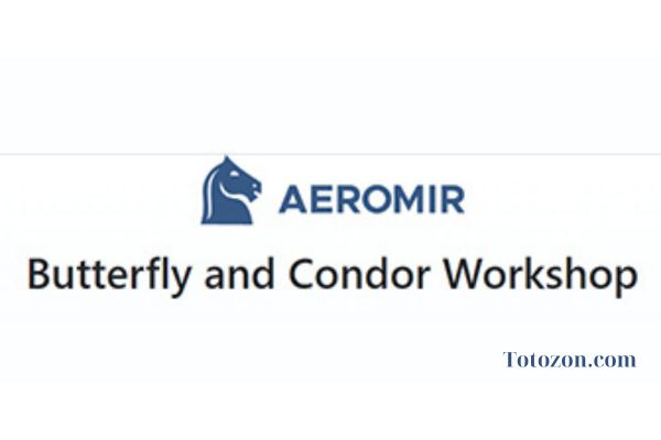 Butterfly and Condor Workshop By Aeromir image