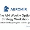 The A14 Weekly Option Strategy Workshop By Amy Meissner image
