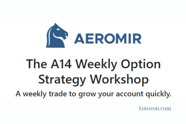 The A14 Weekly Option Strategy Workshop By Amy Meissner image