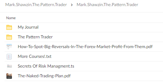 The Pattern Trader with Mark Shawzin 42036jQDFuVuH The Pattern Trader By Mark Shawzin
