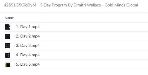 42551GfX0eDyM 5 Day Program By Dimitri Wallace Gold Minds Global
