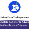 A Complete Beginner to Advanced Trading Mentorship Program By Habby Forex Trading Academy image