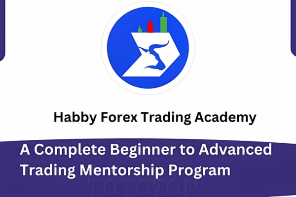 A Complete Beginner to Advanced Trading Mentorship Program By Habby Forex Trading Academy image