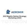 A14 Weekly Options Strategy Workshop 2023 with Amy Meissner – Aeromir image