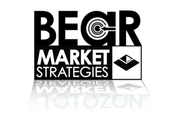 Bear Market Strategies eLearning Course – Kirk – Van Tharp Institute image 600x400