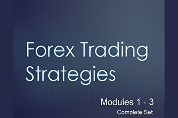 Forex Trading Strategies Modules 1-3 Complete Set By Blake Young - Shadow Trader image
