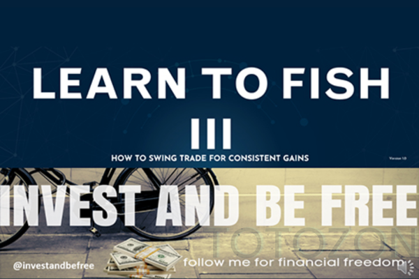 Learn To Fish Part III - How To Swing Trade for Consistent Gains with Daniel image