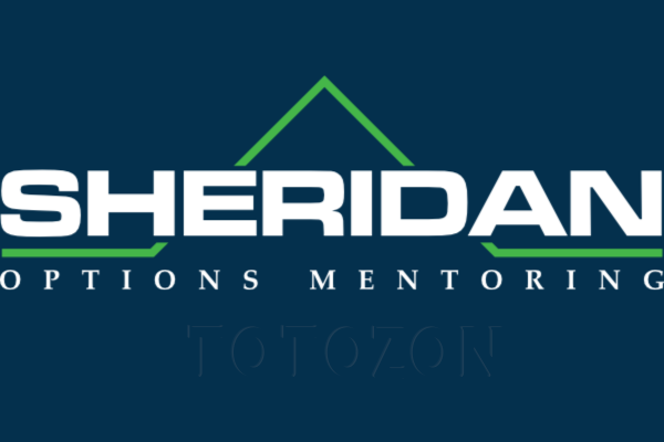Making a 2021 Trading Plan and Trading it for 3 Weeks By Sheridan Options Mentoring image