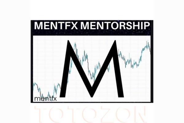 Mentfx Paid Mentoship (2021) image