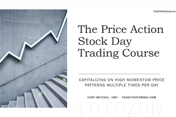 Price Action Stock Day Trading Course By Trade That Swing image