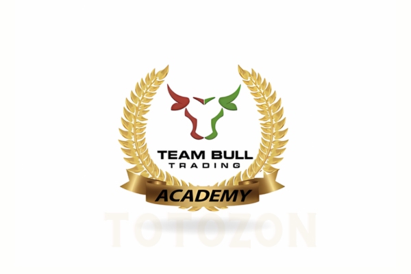 Team Bull Trading Academy image