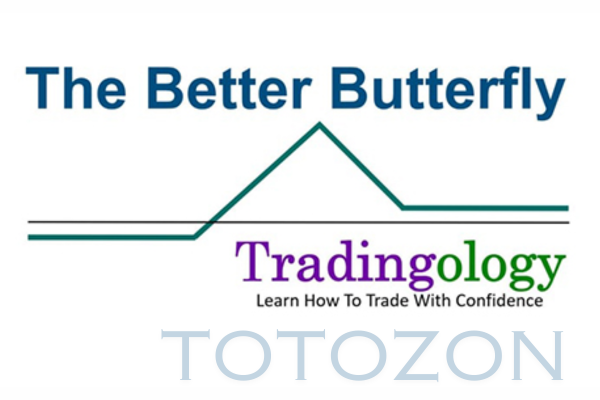 The Better Butterfly Course By David Vallieres – Tradingology image