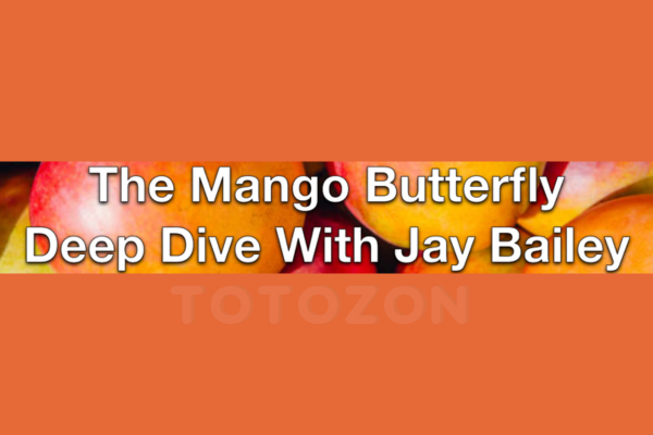 The Mango Butterfly Deep Dive 2023 By Jay Bailey - Sheridan Options Mentoring image