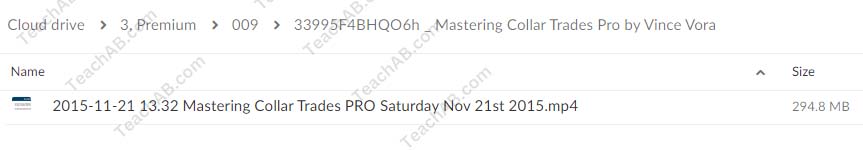 Mastering Collar Trades Pro with Vince Vora - TradingWins 33995F4BHQO6h Mastering Collar Trades Pro By Vince Vora