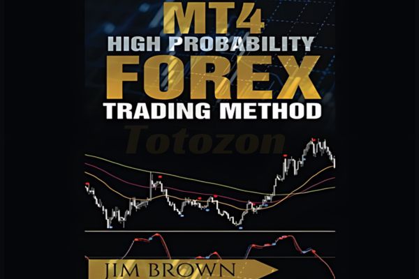 A trader analyzing forex charts on MT4, using high probability trading methods.