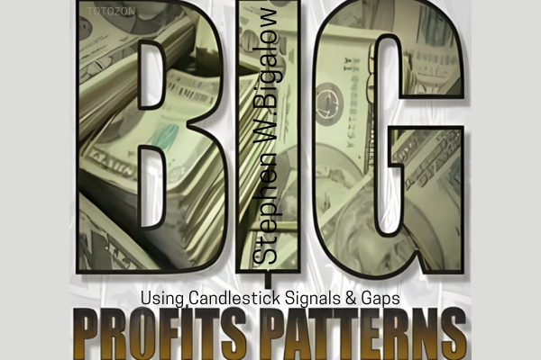 Big Profit Patterns Using Candlestick Signals & Gaps with Stephen W.Bigalow IMAGE