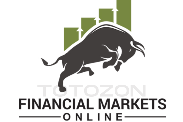 Financial Markets Online – VIP Membership By James Bentley image