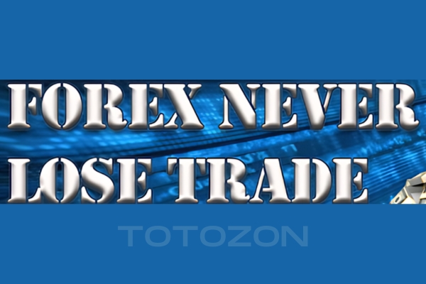 Forex Never Lose Trade & Forex Unknown Secret by Karl Dittmann image
