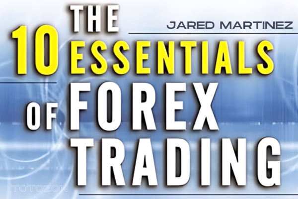 Forex trading chart illustrating the essentials of successful trading.