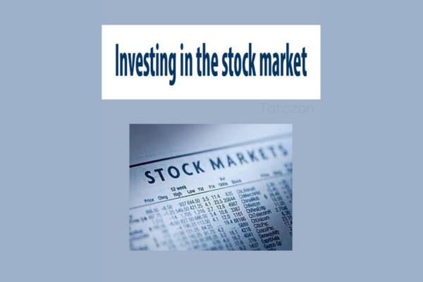 Investing in the stock market image