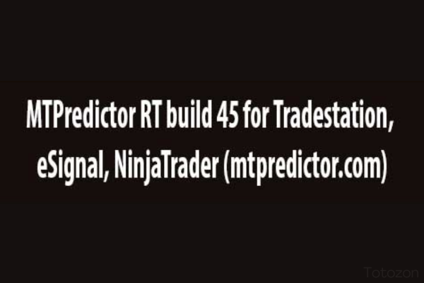 MTPredictor RT build 45 for Tradestation, eSignal, NinjaTrader (mtpredictor.com) image