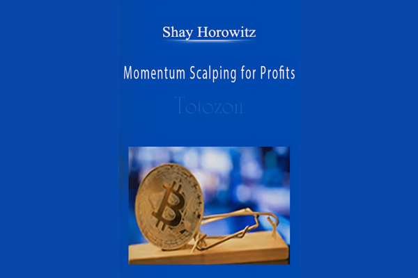 Momentum Scalping for Profits by Shay Horowitz image