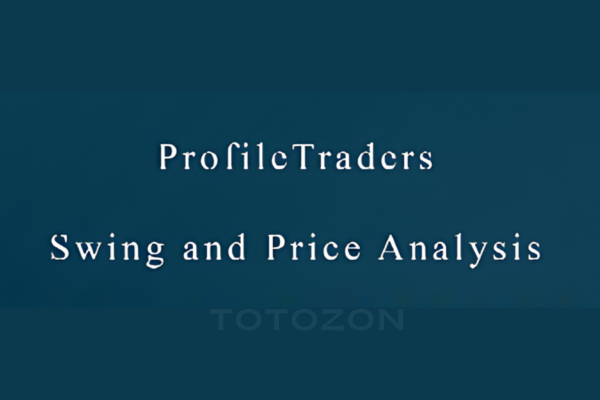 ProfileTraders - Swing and Price Analysis (May 2014) image