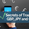 Secrets of Trading GBP, JPY, and CHF By Boris Schlossberg and Kathy Lien - Bkforex image