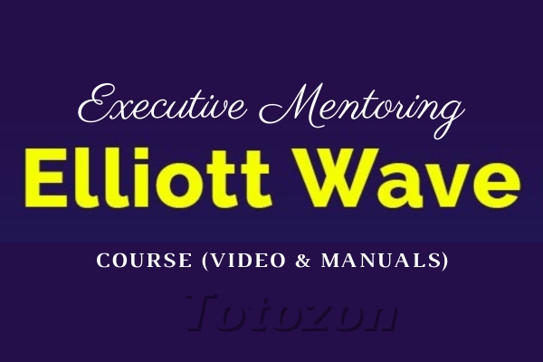 Traders analyzing charts with Elliot Wave Theory patterns during an executive mentoring session.