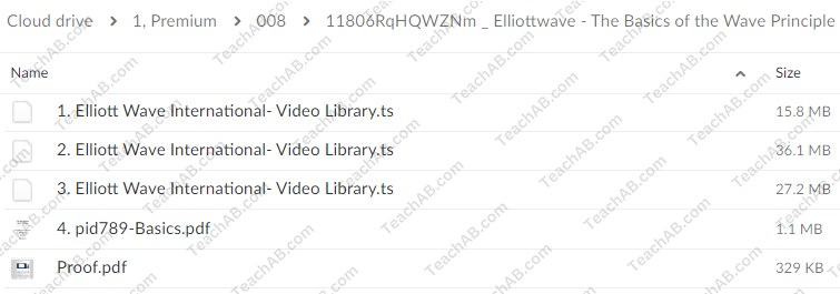 The Basics of the Wave Principle with Wayne Gorman 11806RqHQWZNm The Basics of the Wave Principle By Wayne Gorman 1